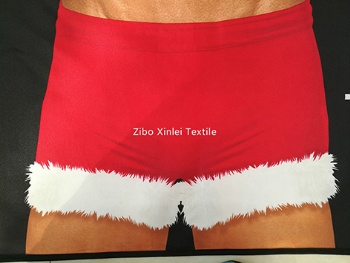 Funny Novelty Sexy Body Christmas apron